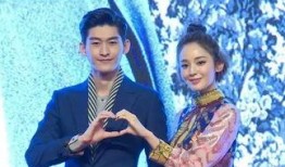 十大男明星女友爆料视频,揭秘明星背后的情感故事